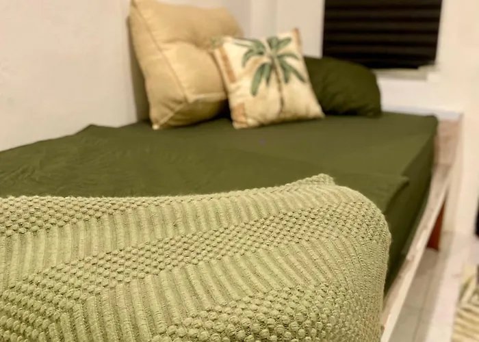 Jungle House