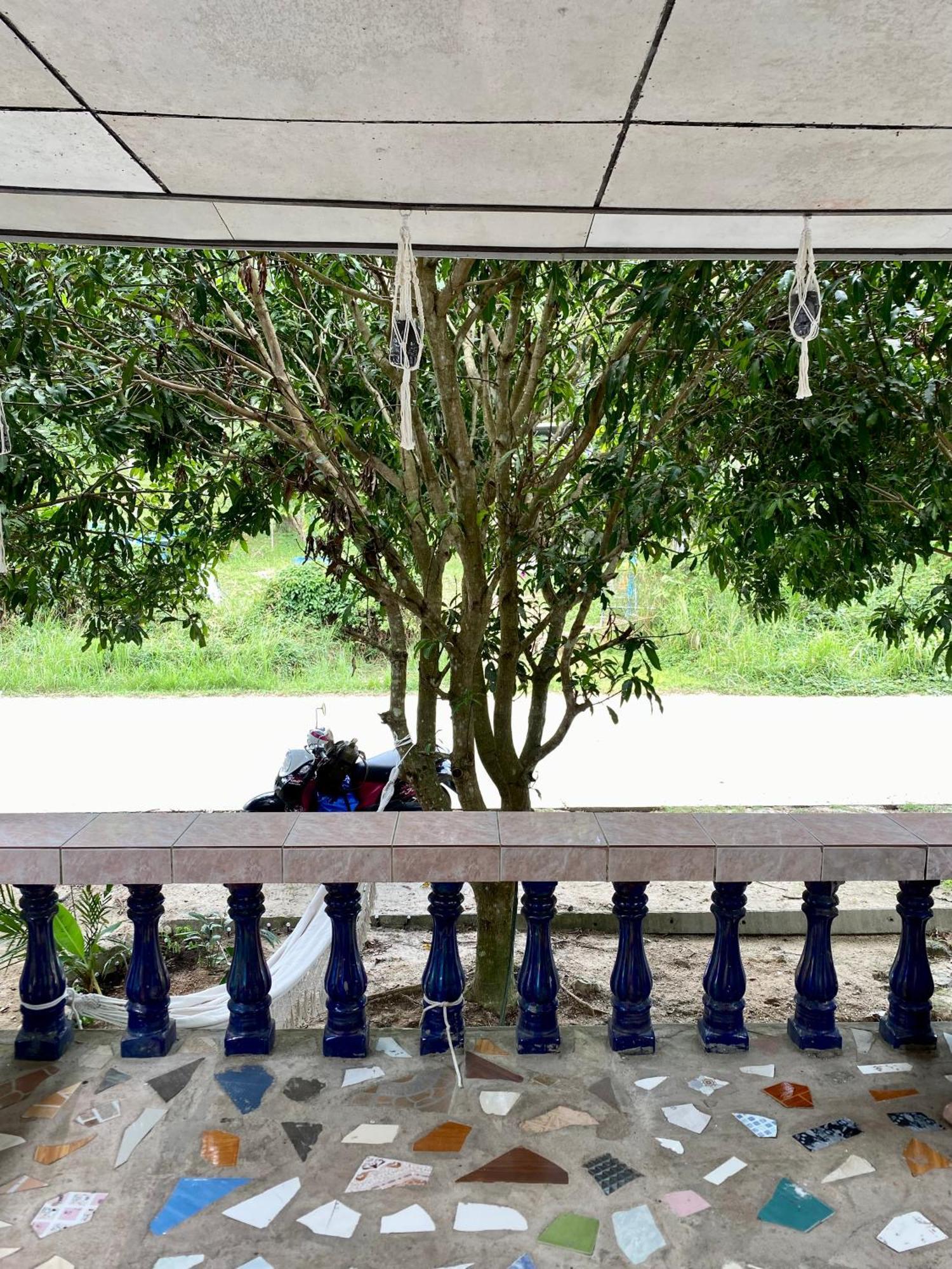 Jungle House צ'לוקלום